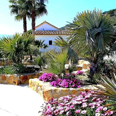 Vakantiehuis Rural 'vincent' Gogh, With Spectacular Pool & Optional Private 6 Guests Jacuzzi Tolox